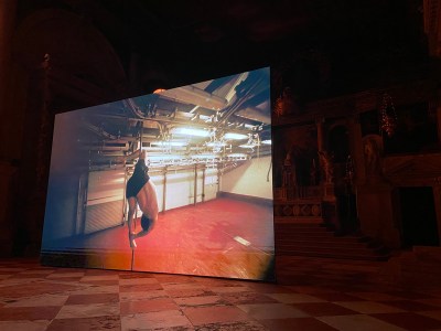 Venice Diary Day 3: Offsite Highlights Include Fleshy Films and Vegetarian Videos