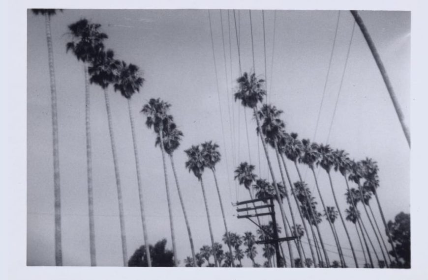 Haegue Yang’s Meditations on Exile
