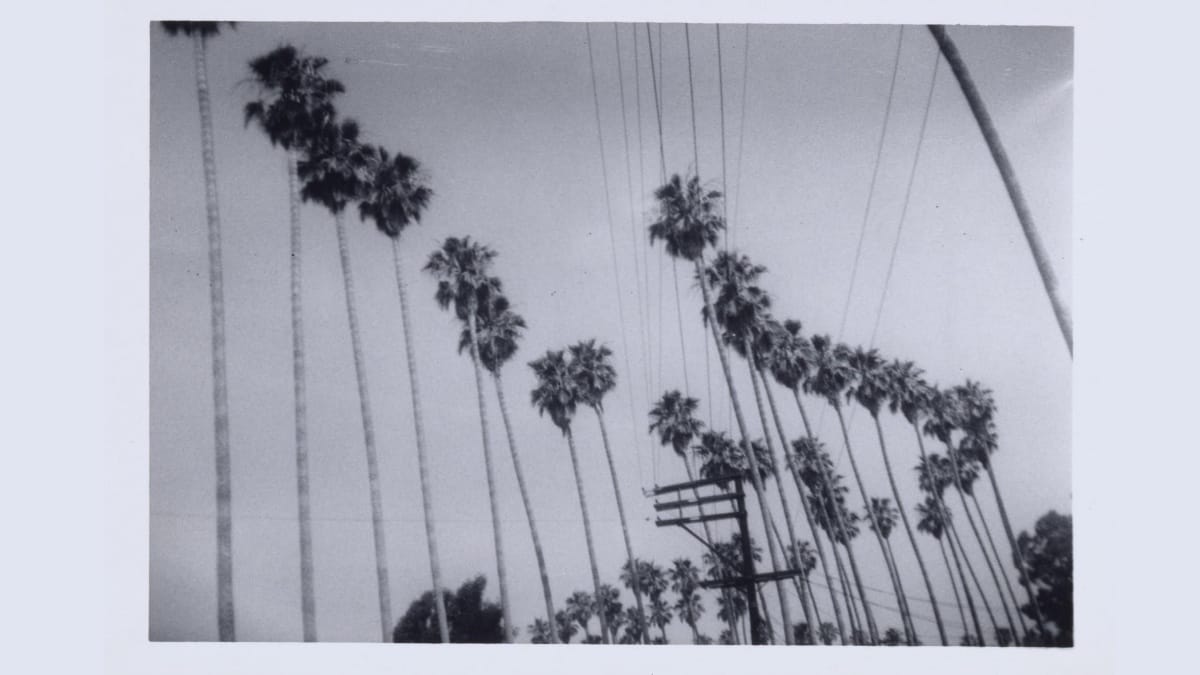 Haegue Yang’s Meditations on Exile