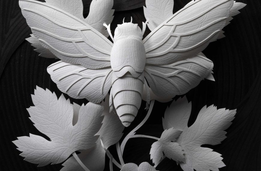 Meticulously Detailed Natural Specimens by Marisa Aragón Ware Emerge from Paper