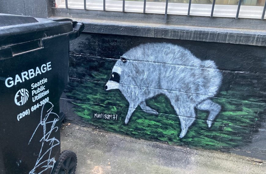 How Jimothy the Raccoon Became a Hero of the Misfits
